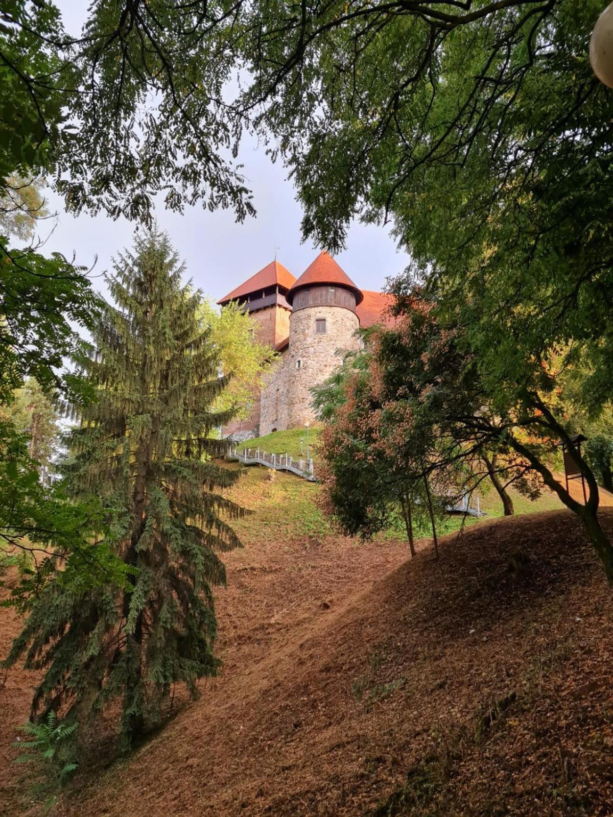 Appartement Old Town Road à Karlovac Extérieur photo
